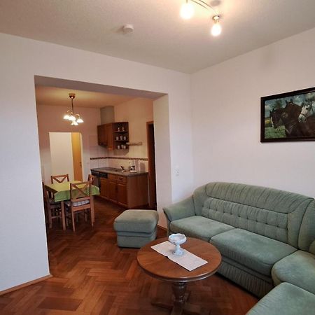 Ferienwohnungen Reiterhof Lienemann Grünbach Exteriér fotografie