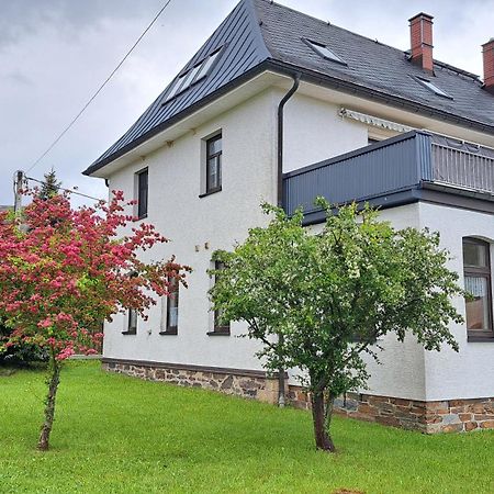 Ferienwohnungen Reiterhof Lienemann Grünbach Exteriér fotografie